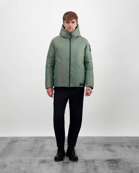 Hover image for Duck Green