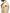 Manteau mi-long homme Camden – NEXT by Nobis